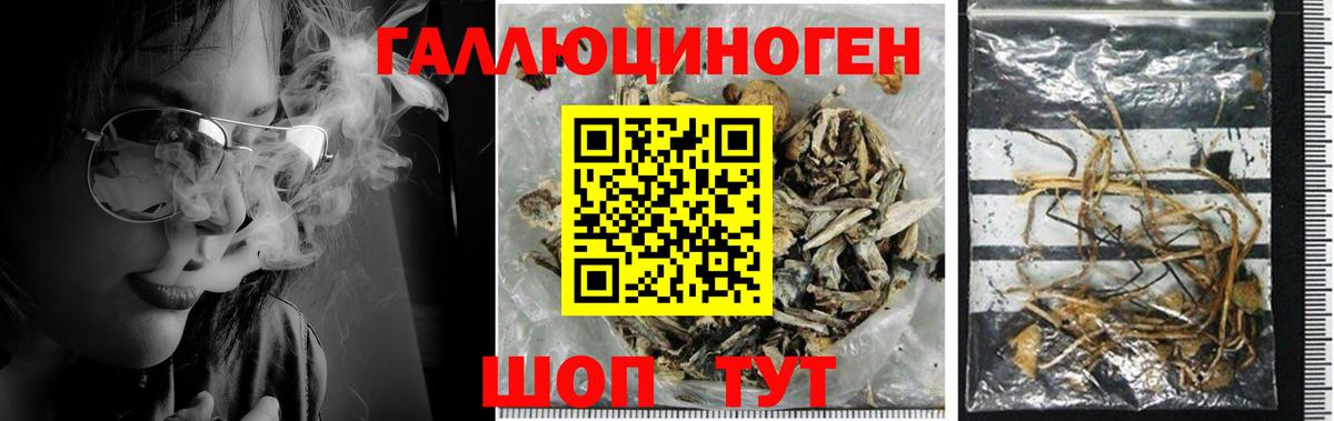 Псилоцибиновые грибы мухоморы Ипатово